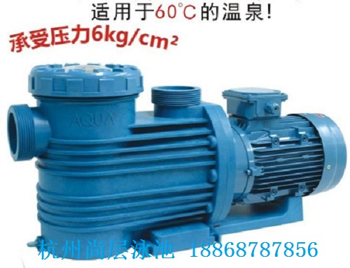 愛克專業泳池溫泉泵 循環水泵
